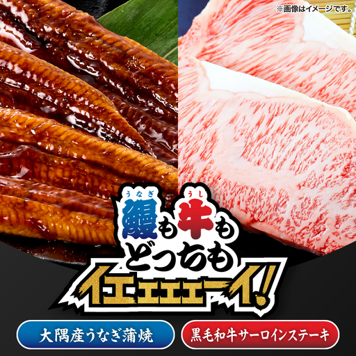 2475 【 鰻 も 牛 もどっちもイエェェェーイ！8】鹿児島県大隅産 うなぎ蒲焼 150g うしの中山サーロインステーキ200g KN050-015 肉 牛肉 左官 冷凍