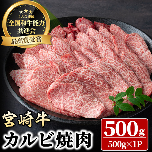宮崎牛 カルビ焼肉(500g) 牛肉 肉 ブランド牛 冷凍 国産 精肉 お取り寄せ 黒毛和牛 宮崎県 [LJ010][ローカルブランディング株式会社]