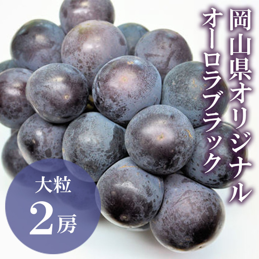 オーロラブラック 2房(1房480g以上) 化粧箱入り[2026年8月下旬〜9月下旬発送予定]