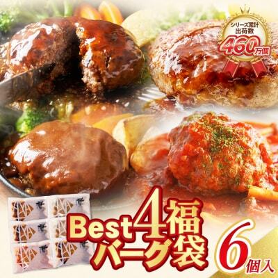  Best4バーグ 4種 6個 セット ハンバーグ