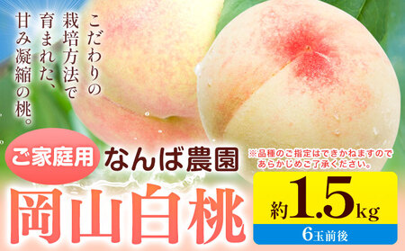 [2027年先行予約]桃 もも ご家庭用 岡山白桃 約1.5kg ( 6玉前後 ) 桃