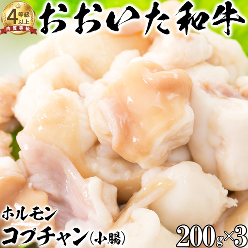 おおいた和牛 ホルモン (コプチャン 200g×3)【ニード牧場】 高級 国産 ブランド 小腸 黒毛 和牛 豊後牛 受賞 もつ鍋 バーベキュー 九州 大分県 10000円 ＜129-018＞