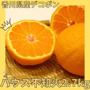 ハウス不知火（デコポン） 2.7kg【予約受付中！令和9年1月上旬頃より発送！】【A-115】