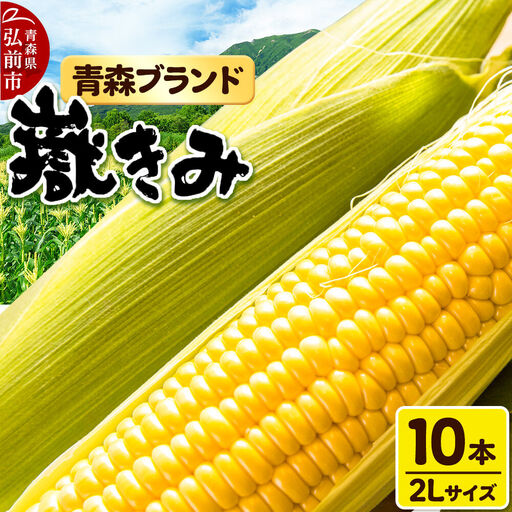【26年8月中旬～クール便発送】とうもろこし【先行受付】嶽きみ（だけきみ）2Lサイズ 10本 青森県弘前市産 岩木山麓嶽高原産