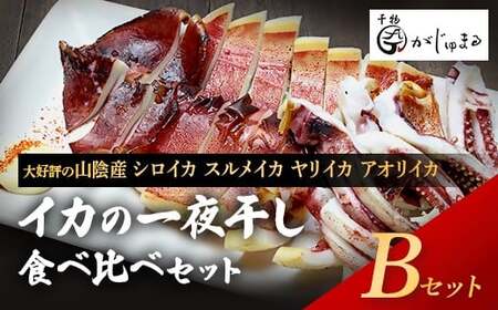 シロイカ入りイカの一夜干し食べくらべセット(Bセット)
