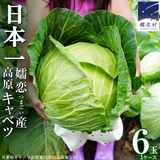  【7月中旬発送開始】 嬬恋キャベツ 嬬恋産 高原 キャベツ 6玉 1ケース Lサイズ 先行予約 2026年発送 [AS007tu]