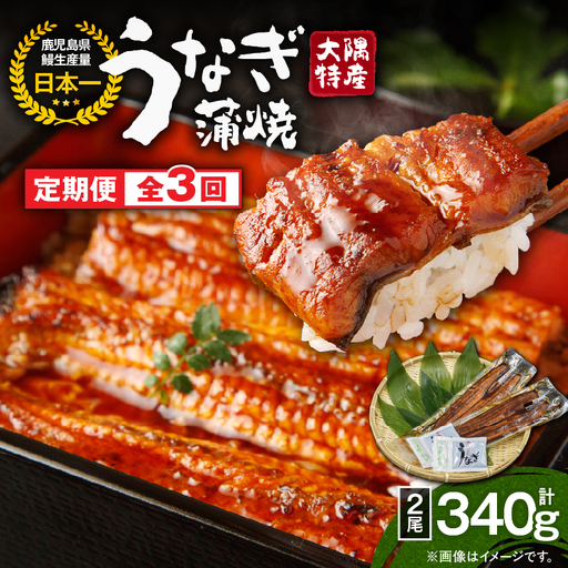 2479 [ 定期 3回 ]大隅特産 うなぎ蒲焼 2尾(340g)[ 国産 ] KN060-T03 魚 冷凍 鰻 定期便