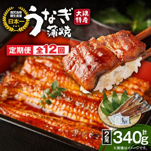 2481 【 定期 12回 】大隅特産 うなぎ蒲焼 2尾（340g）【 国産 】 KN060-T05 魚 冷凍 鰻 定期便