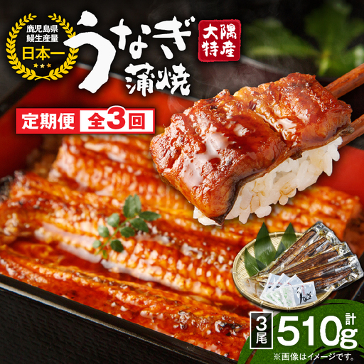 2482 【 定期 3回 】大隅特産 うなぎ蒲焼 3尾（510g）【 国産 】 KN060-T06 魚 冷凍 鰻 定期便