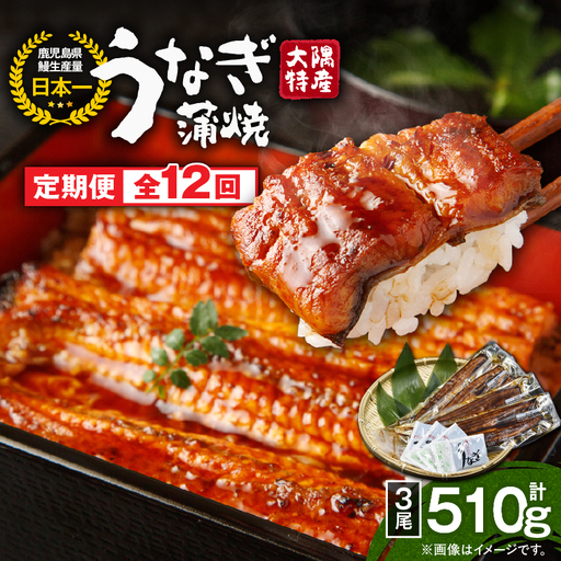 2484 【 定期 12回 】大隅特産 うなぎ蒲焼 3尾（510g）【 国産 】 KN060-T08 魚 冷凍 鰻 定期便