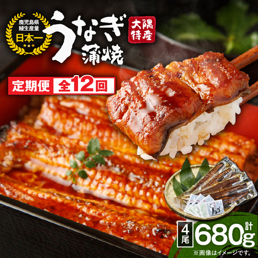 2487 【 定期 12回 】大隅特産 うなぎ蒲焼 4尾（680g）【 国産 】 KN060-T11 魚 冷凍 鰻 定期便