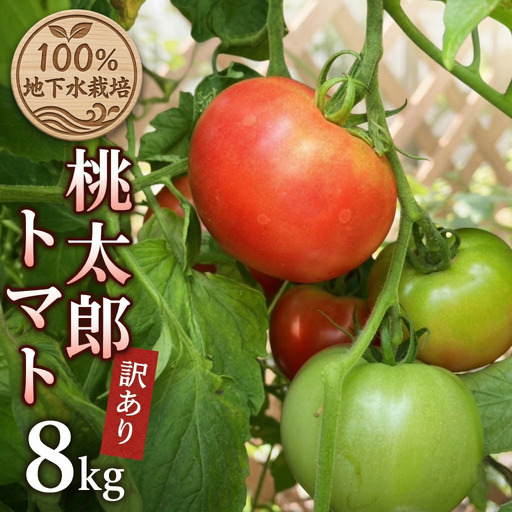 【 訳あり 】 地下水100％で作る美味しい 「 桃太郎トマト 」 8kg 4kg×2箱 野菜 桃太郎 トマト とまと 地下水 ミネラル