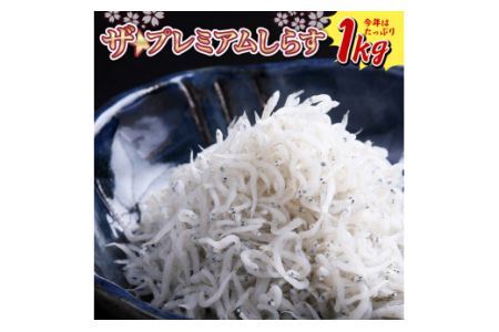 453.ザ☆プレミアムしらす1kg(B453-1)