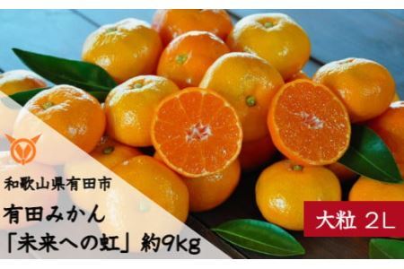 [大粒･2L]有田みかん「未来への虹」(約9kg)(B240-2)
