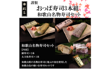39 おっぱ寿司3本セット(B39-2)