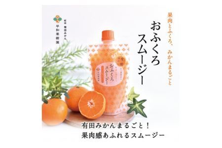 【早和果樹園】おふくろスムージー有田みかん30本入 飲むタイプのみかんゼリー(B624-3)