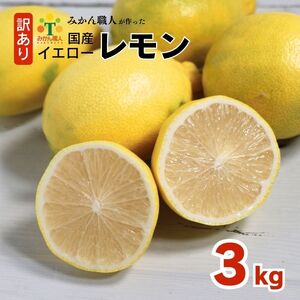 訳あり レモン 3kg 愛媛県 愛南町 みかん職人武田屋【レモン】
