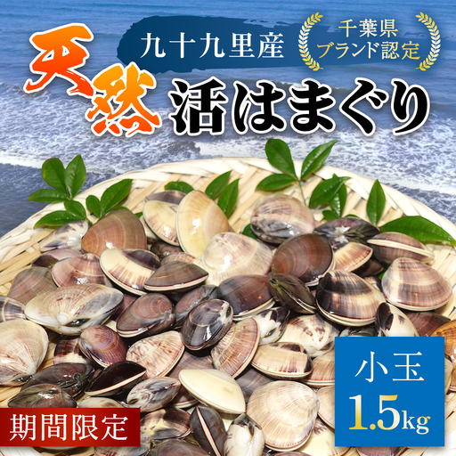＜先行受付/2027年5月より配送＞【千葉県ブランド認定】天然活はまぐり（小玉）《1.5㎏》／ふるさと納税 はまぐり ハマグリ 蛤 貝類 魚介 海鮮 お吸い物 パスタ パエリア お歳暮 贈答 お祝い 千葉県 山武市 SMBO001