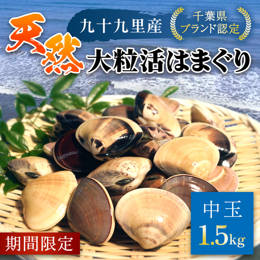 【千葉県ブランド認定】天然大粒活はまぐり（中玉）《1.5㎏》 ふるさと納税 はまぐり ハマグリ 蛤 貝類 魚介 海鮮 お吸い物 パスタ パエリア お歳暮 贈答 お祝い 千葉県 山武市 SMBO002