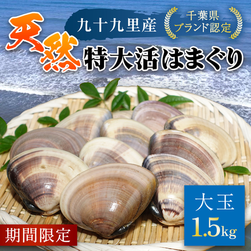 【千葉県ブランド認定】天然特大活はまぐり《1.5㎏》／ふるさと納税 はまぐり ハマグリ 蛤 貝類 魚介 海鮮 お吸い物 パスタ パエリア お歳暮 贈答 お祝い 千葉県 山武市 SMBO003