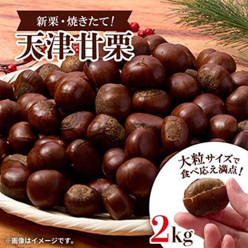 【2kg】新栗ビックサイズ!!焼きたて!!天津甘栗　大粒サイズ　期間限定でお届けします。_栗 くり 甘栗 天津甘栗 おやつ スイーツ 焼きたて 甘い 菓子 お菓子 マロン 常温 送料無料 人気 おすすめ お取り寄せ 大粒 新栗 限定_【1510517】