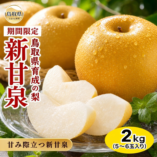 梨(新甘泉)[期間･数量限定]_T2600262 先行予約