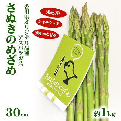 アスパラガス さぬきのめざめ セミロング アスパラガス【約1kg 30cm 2L〜L】 【46311644】