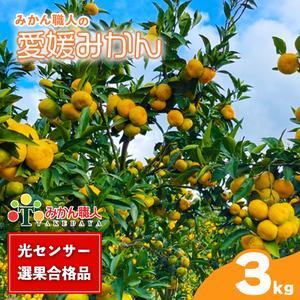 【先行予約】訳あり 愛媛みかん 3kg 人気 みかん 冬 秋 旬 厳選 光センサー選果 柑橘 かんきつ 果物 くだもの 国産  少量 お試し フルーツ スイーツ デザート ご褒美 みかん 蜜柑 大小 サイズ ミックス 不揃い 傷 温州 温州みかん 美味しい 農家直送 地場産品 こだわり みかん職人武田屋 愛媛県 愛南町