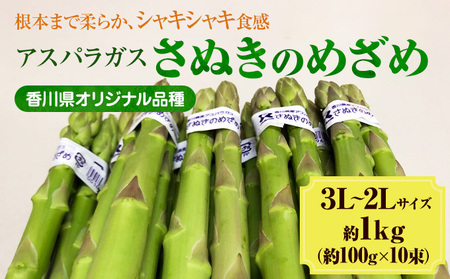 2027年初物予約!アスパラガス[さぬきのめざめ]3L・2Lサイズ1kg
