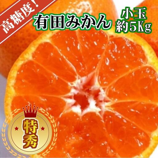 有田みかん 特秀品小玉S〜M 約5kg 高糖度 [2026年10月から12月下旬頃順次発送]