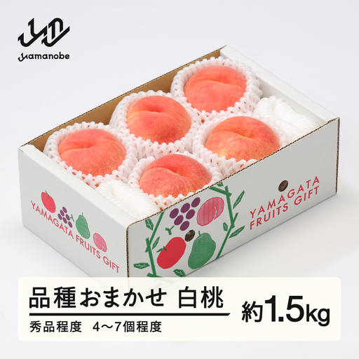 【先行予約】もも 桃 品種おまかせ 白桃 秀品程度 約1.5kg(4~7個程度) 2026年 山形県産 tf-moyws1500-b