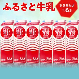 ふるさと牛乳1L 6本セット _DT08 ｜ 牛乳