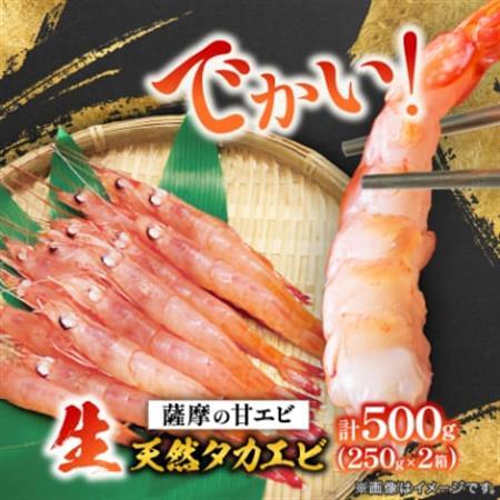 【薩摩の甘エビ】大きいサイズ　天然タカエビ500g　A1-10_魚介・海産物 甘エビ エビ あまえび 甘海老_【配送不可地域：離島】【1524580】