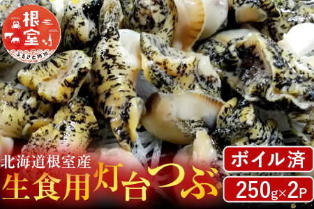 【北海道根室産】生食用灯台つぶ(ボイル済)250g×2P(計500g) G-14040
