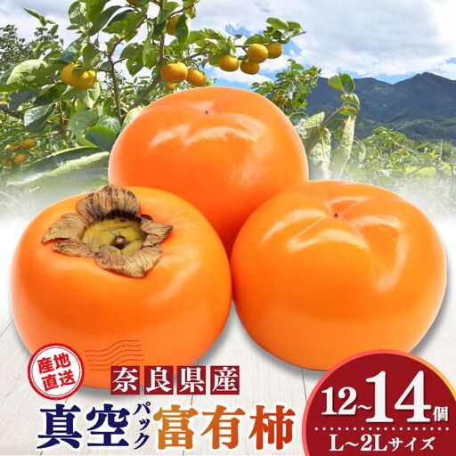 貯蔵 富有柿 12 個〜14 個 L〜2L サイズ | 果物 柿
