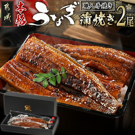 職人手焼きの本格うなぎ蒲焼き2尾〔MJ-33-003-2〕_(都城市) 国産 本格 うなぎ 鰻 蒲焼 宮崎 じっくり 特製タレ 香り豊かな ふっくら 香ばしい うなぎ