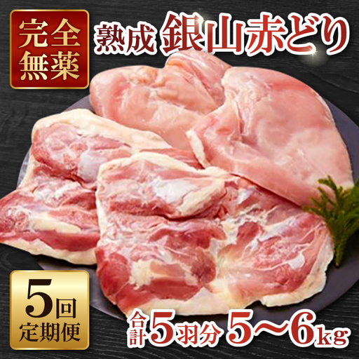 【熟成】銀山赤どり精肉定期便（１羽分×５回お届け）【鶏肉 モモ肉 ムネ肉 1羽分 まるごと 1kg～1.2kg 5回 合計5羽分 定期便 定期 鶏 地鶏 赤鶏 赤どり 熟成 真空パック 真空 国産 島根県 大田市】