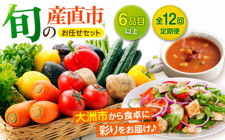 野菜定期便[12回定期便]野菜定期便(6種以上)[AGAP017]