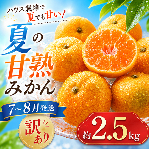 ハウスみかん (訳あり) 約2.5kg【オレンジ農園】 夏 果物 フルーツ 数量限定 期間限定 九州 大分県 ＜114-001＞