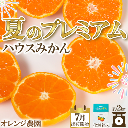 ハウスみかん 約2kg 専用箱 入り【オレンジ農園】 夏 果物 フルーツ ギフト 数量限定 期間限定 九州 大分県 ＜114-002＞