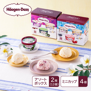 マルチパックセット/ハーゲンダッツ
