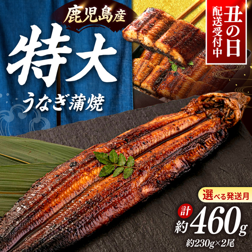 鹿児島産特上うなぎの蒲焼き 2尾 [ADAH008]うなぎの蒲焼き