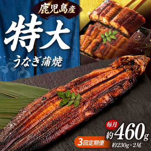全3回定期便 特大！ 鹿児島産うなぎ 蒲焼2尾セット 桂川町/山水商事 [ADAH012] ウナギ 鰻 うなぎセット 特大鰻 定期便 特大