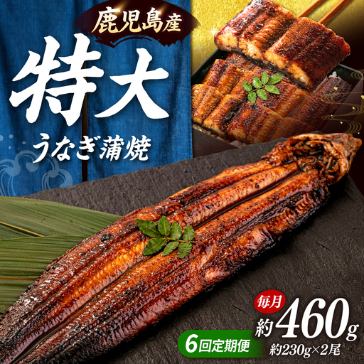 全6回定期便 特大！ 鹿児島産 うなぎ 蒲焼 2尾セット 桂川町/山水商事 [ADAH013] ウナギの蒲焼 鰻の蒲焼 うなぎの蒲焼 蒲焼セット 特大鰻 定期便