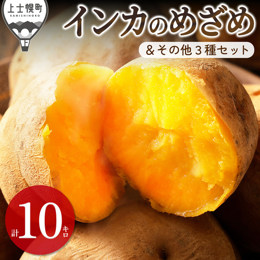 2026年産 先行予約 北海道産 インカのめざめ その他3種 じゃがいも 計10kg（2.5kg×4種） 上士幌町加藤農場 インカの目覚め 馬鈴薯 芋 イモ 野菜 詰め合わせ ◆2026年11月配送予定