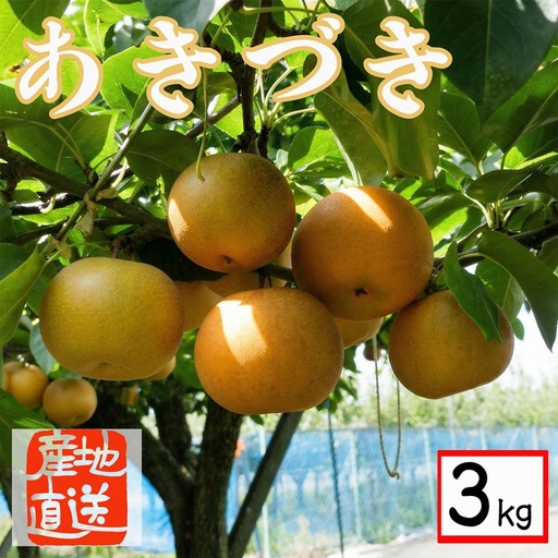 [ 産地直送 ] あきづき 3kg 先行予約