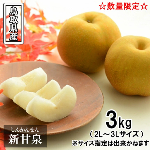 鳥取県産 新甘泉梨　3kg