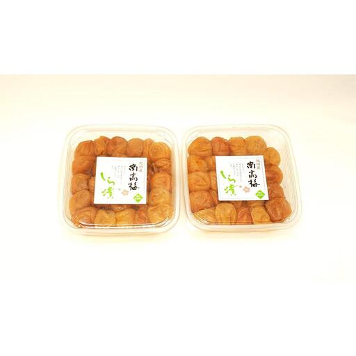 しら漬（訳あり）500g×2パック