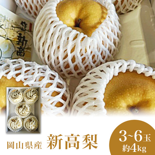 新高梨 3～6玉（約4kg）化粧箱入り【2026年9月下旬～11月上旬発送予定】