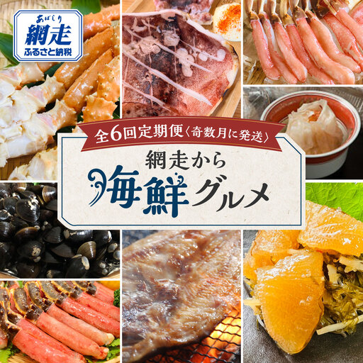 【定期便】＜奇数月に発送＞網走から海鮮グルメ 全6回 ABAO076